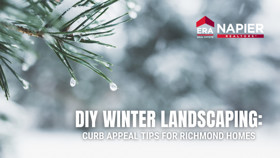 Winter Landscaping