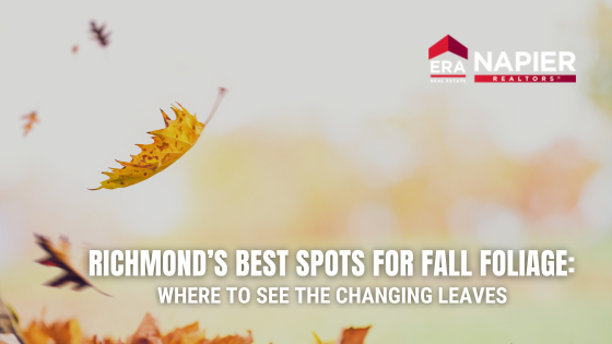 Fall Foliage